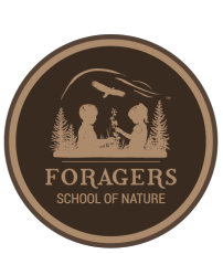 Foragers School of Nature  |  Squamish BC